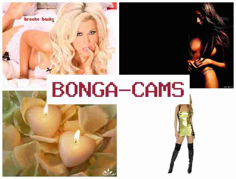 BOHGA CAMS 🔵 Best Good Porn & Chato Video Chat