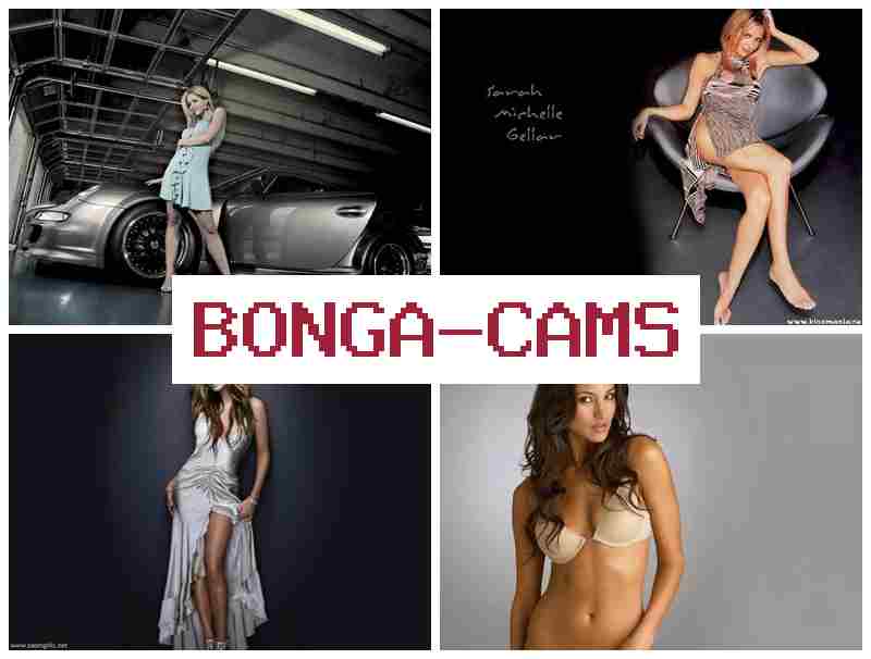 BONGADAMS 💞 Film Full Sex Videos & Happy Sex 18+