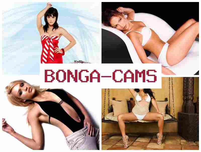 BOGA CAMS 🔔 Boobs Sex Girl Pussy & Anal Sex NL