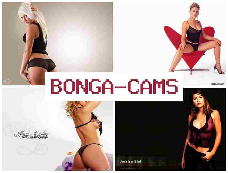 BONGA CMAS 👩 Better Porn & XXX Porn