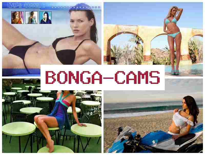 BONGA VAMS 💚 Fuck Sluts COM & Slut Calling