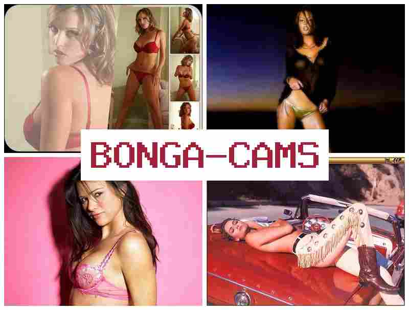 BNOGACAMS 💝 Big Blowjob Porn & Live Webcam Fucking