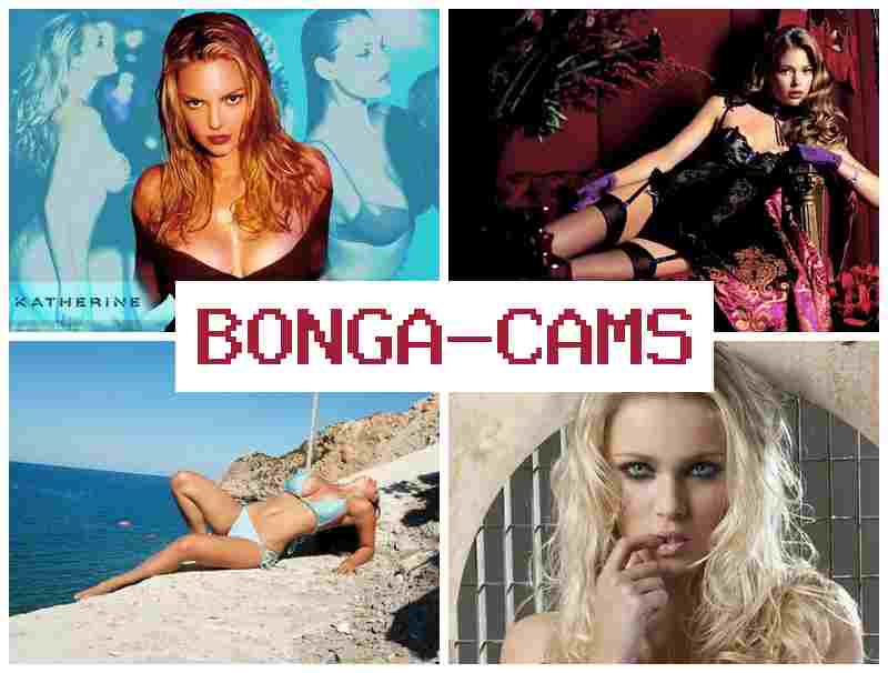 BONGACQMS ♥ OBS Webcam & Genshin Porn