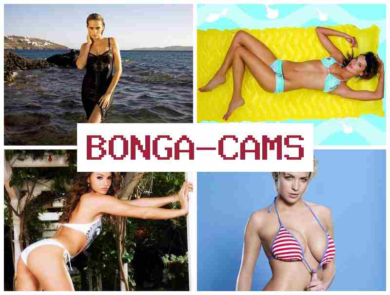 BONGACZMS 📺 Sluts Pictures & Porn Stocks