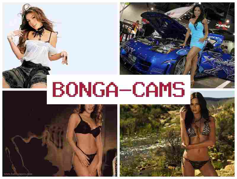 BONGACAKS █ Babes Porn & Blonde Slut Wife