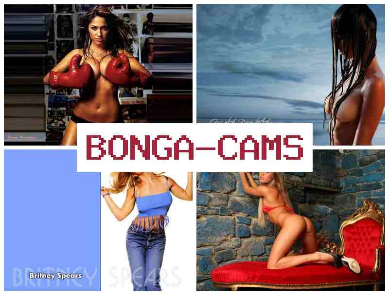 BONGA CMS 💟 Porn Chat & Porn Impact