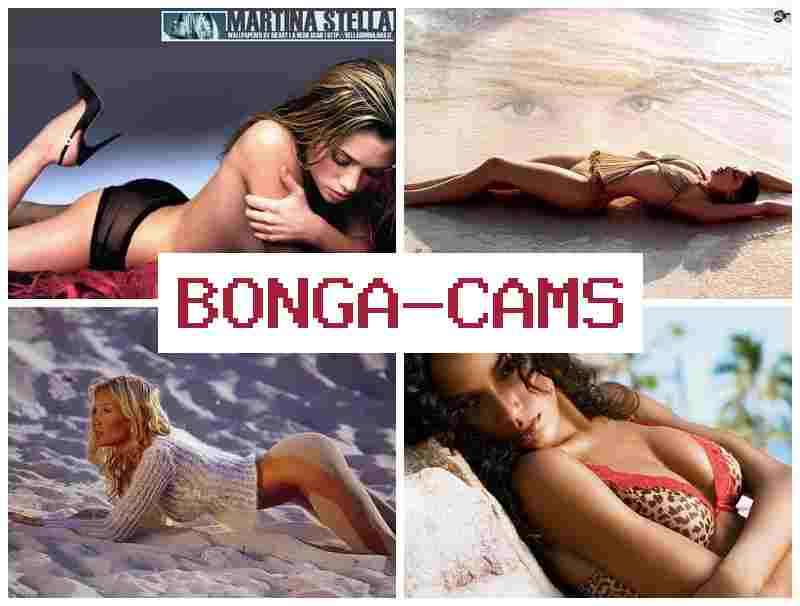 VONGA CAMS 💕 Webcam Brutal Sex Nympho 12 & Gonzo Anal Slut