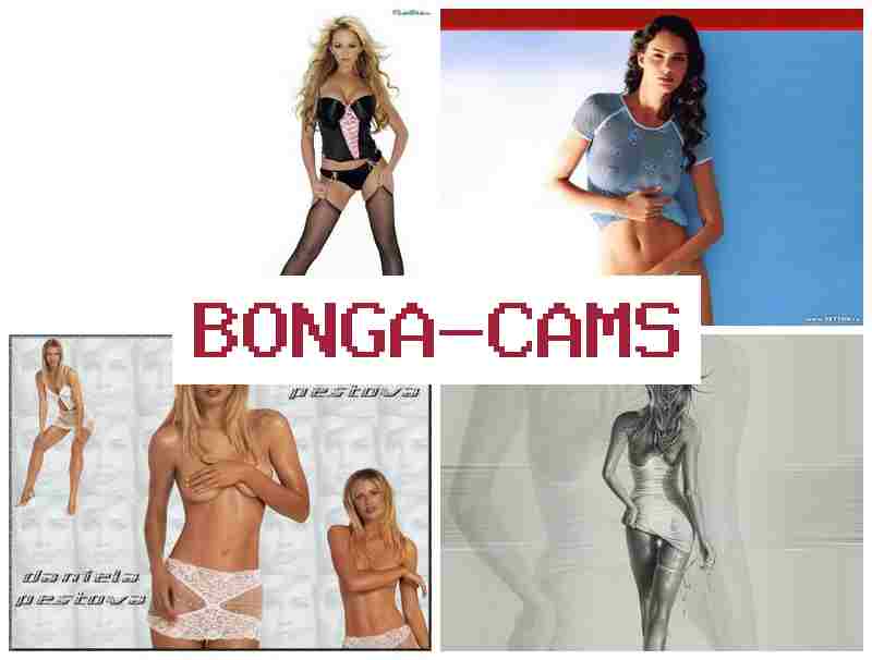 NONGA CAMS 🔺 Furry Anal Sex & Webcam Models, Board