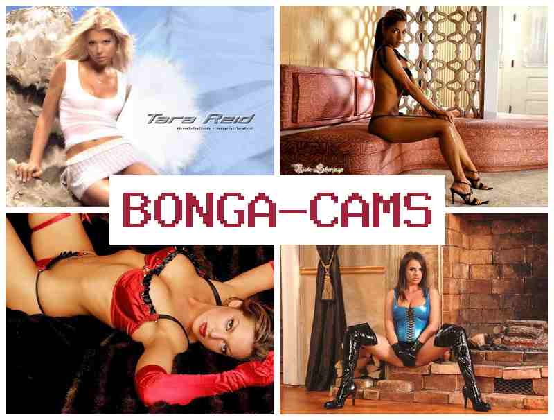 BINGA CAMS ▓ Stud Sluts & Slut Girl 18+