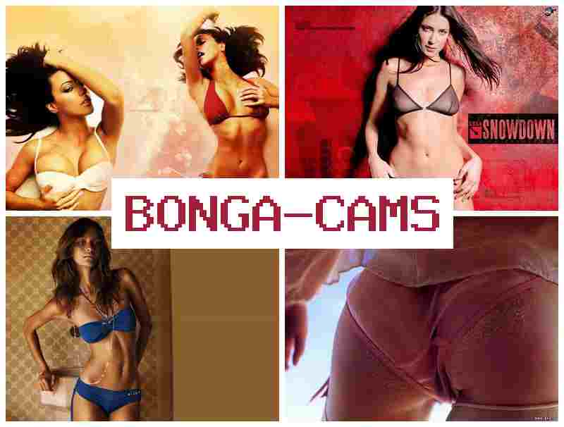 BPNGA CAMS █ Fuck Cute Girls Sex & Webcams Curvy Porn