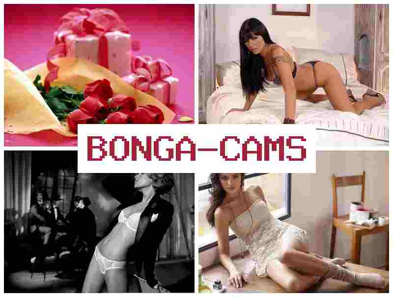 BKNGA CAMS ▒ Porno Webcam Piss & Porn Tube Webcam, Anal