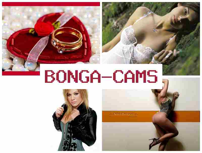 BOHGA CAMS 🆓 Two Anal Sluts Retro FFM Anal & Hot Solo Girl, Webcam