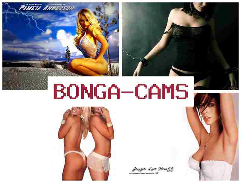 BONHA CAMS 💚 Up Slut & Video Busty Webcam Show