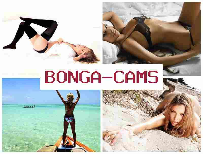 BONGA CZMS 🆒 Slut Milf Ass & Girl Fighting Sex