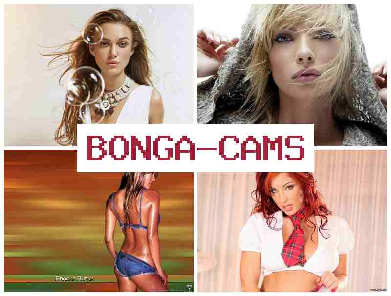 BONGA CA,S 🔵 Wild Porn & Car Slut Porn