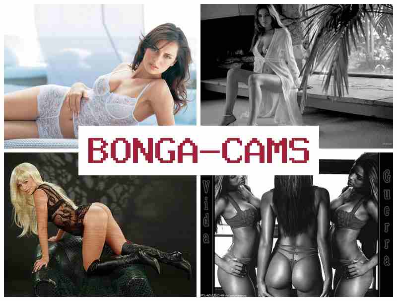 OBNGACAMS 💞 Webcam Privat Recording & Quinn Porn OBNGACAMS 💞 Webcam Privat Recording & Quinn Porn