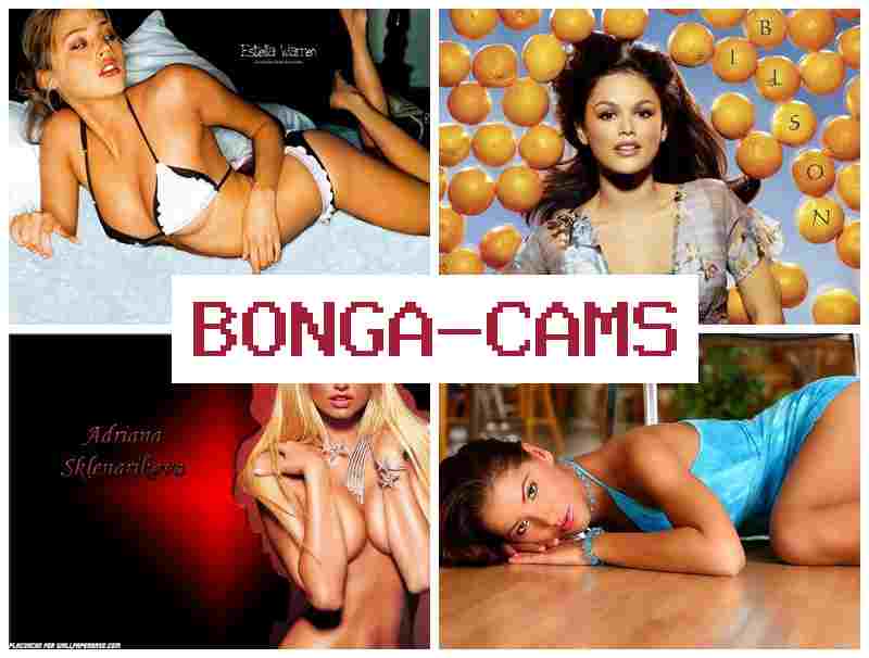 BONGACASM 🆕 Big Tits Porn & Live Video Chat Webcam