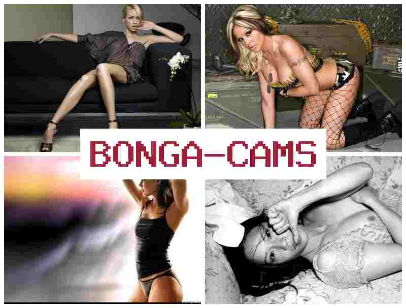 BOHGACAMS 💑 Mature Dildo, Webcam & Porn Searching