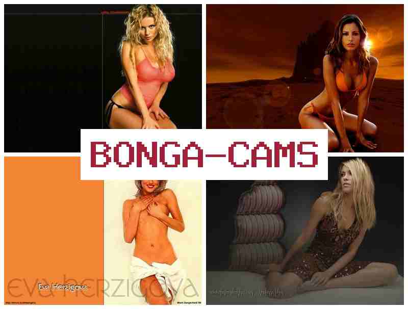 BNOGACAMS 🔵 Pregnant Slut Porno & Mature Toilet Slut Porno