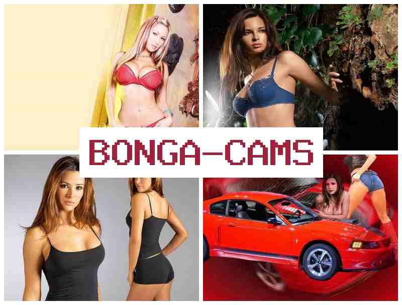 BONGACMAS 💗 Porn Forum & BJ Lips Your Slut