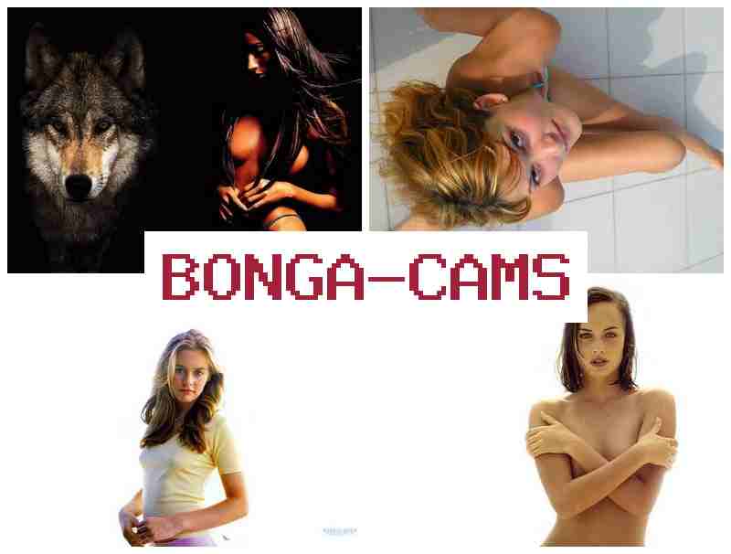 BONGACASM 🔷 Milking Porn & Free Indian Sex Porn Movies