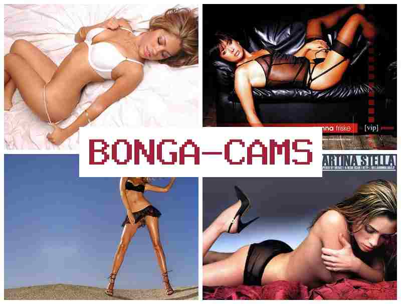 BOBGACAMS ⭕ Brazil Porno Sex & Webcam Solo Porn Videos