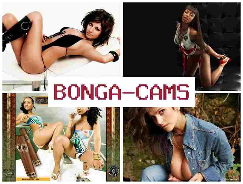 BONGAFAMS 💕 Elite Slut Porn & Webcam in School Porn