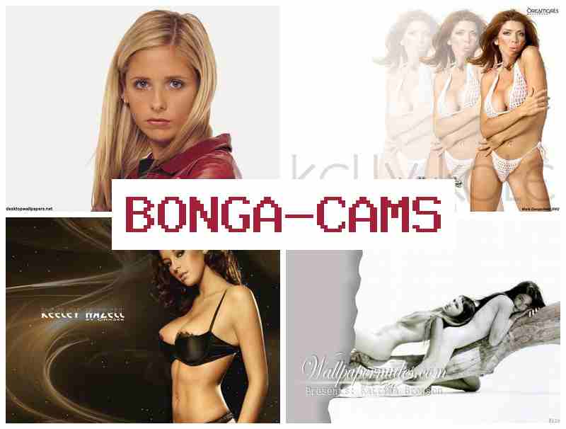 BONGACANS 🔵 BDSM Sluts Porno & Slut 812