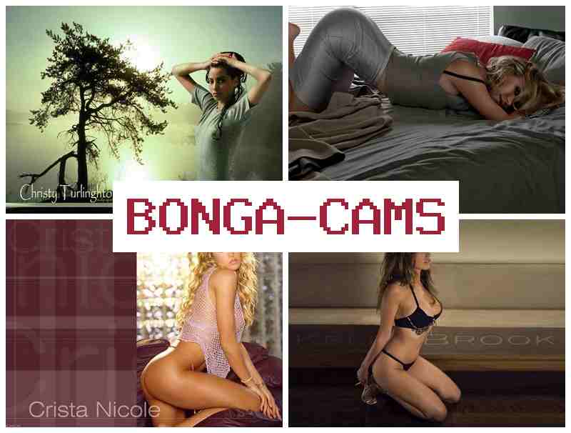 BONGA CMS 💕 Free Sex TG & Webcam Girl Fuck Solo