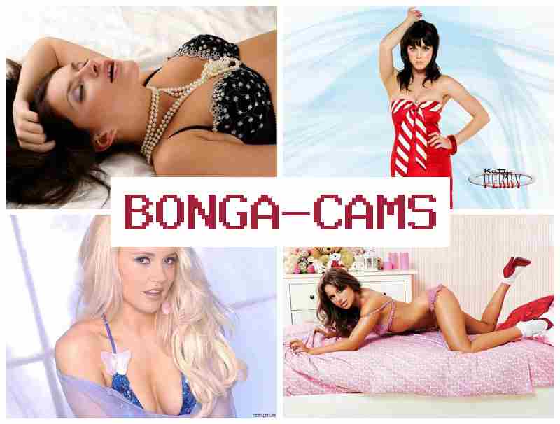 BONGACAS 🆒 Slut Wife Double & Porn Search