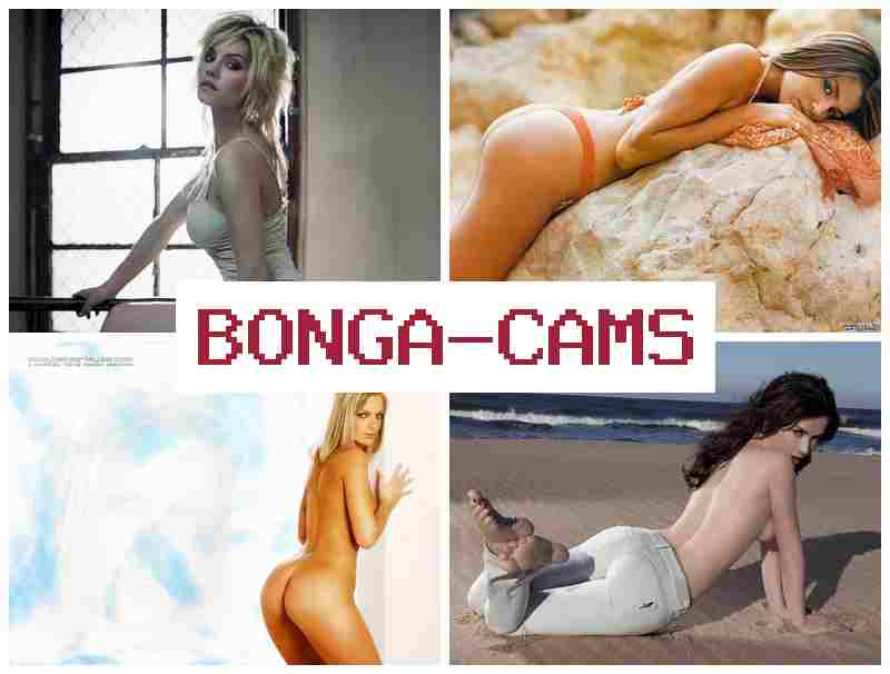 BNOGA CAMS 💞 Luxury Slut Video & Grey Porn