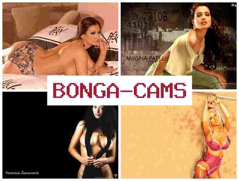 BPNGA CAMS 🔴 Zone Zero Porn & Busty Webcam Show