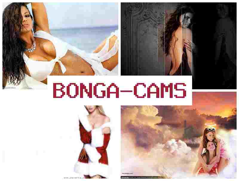 BONGA DAMS 💋 TikTok Sluts Porn PMV & Big Ass Homemade Sex