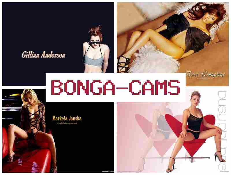 OBNGACAMS 🔻 Kinky Slut Porno & Porno Mature Webcam Masturbation