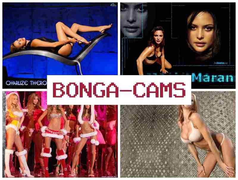 BOGACAMS 💘 TikTok Porn & Webcams Nude Gallery Forum