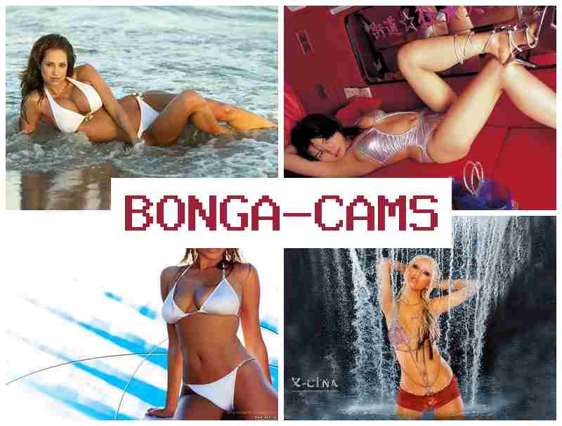 BONGACASM 🔵 Sex Dildo, Webcams & Good Free Sex Site