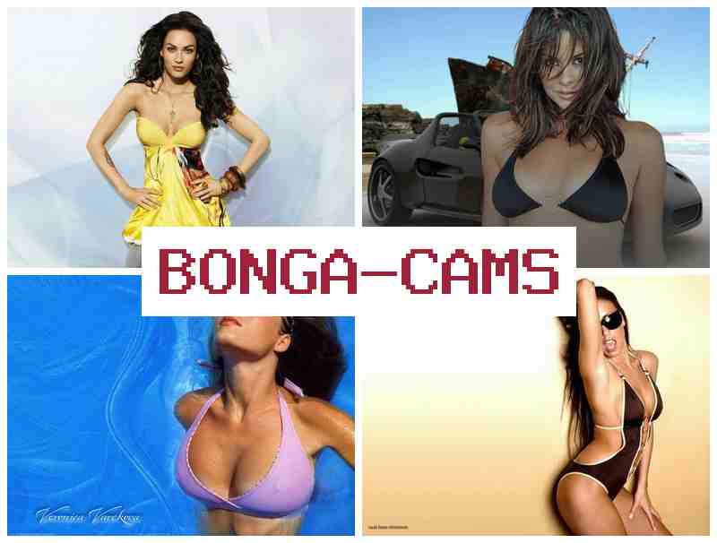 BONGADAMS 🔺 Indo Porn & Porn Sex Big Tit