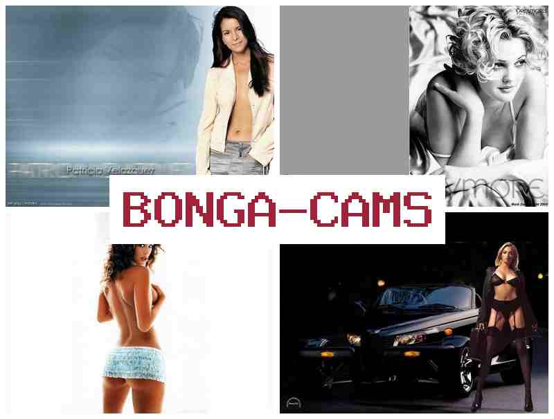 BONGA CCAMS 💻 Porn Agent & Webcam Porn