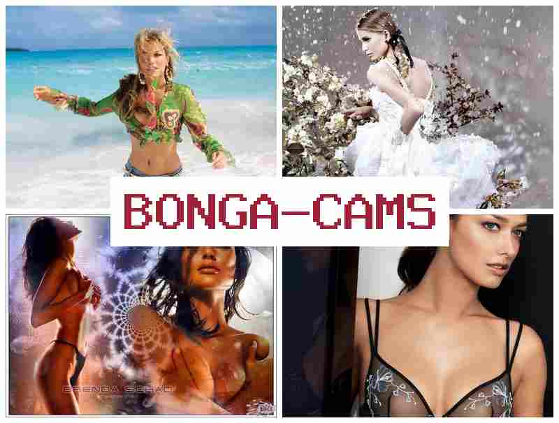 B9NGA CAMS 💻 Free Sex Help & Grouping Porn
