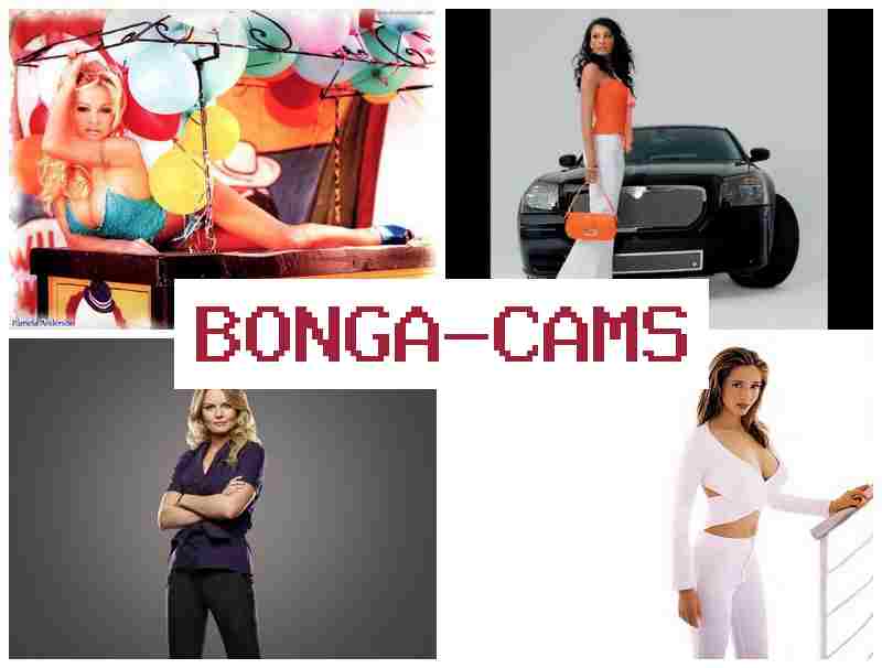 BLNGA CAMS 🔻 Porn Artist & Top Girls, Best Webcam Angles