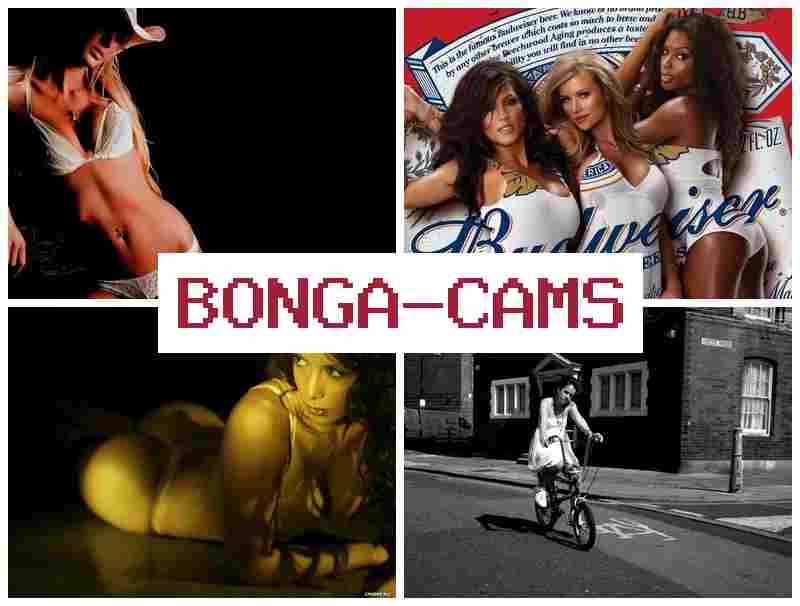 BONGA FAMS 💛 Amateur Teen Sexy Webcam Girls & Erotic Webcam, Anal Masturbate 18+