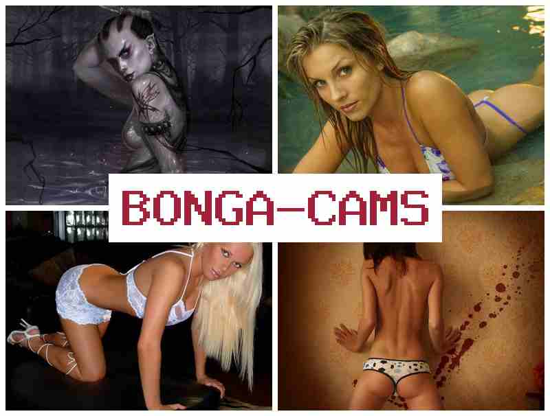 BOGACAMS 💏 Slut Stocking Fuck & Sweetie Porn