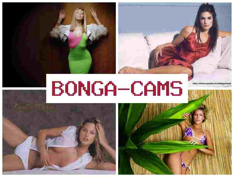 BONGACAKS 🔵 Forced Porn & Ass Sex Porno Video