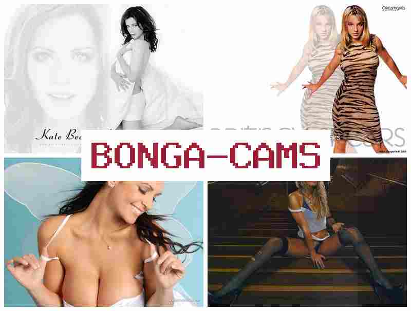 BONGACAAMS ▒ Rule Porn & Video Webcam Pussy
