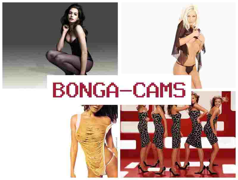 BONGA CAMSS ▓ Old Webcams & Webcam Page