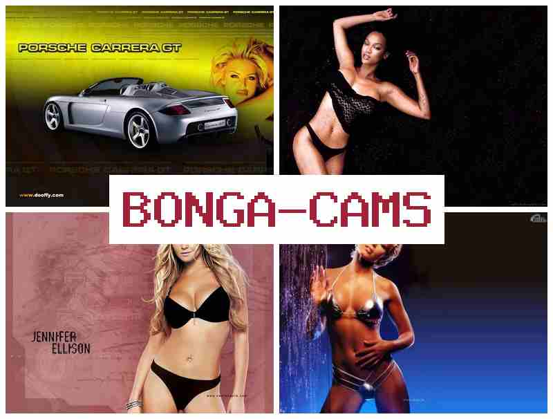 BNOGA CAMS 💗 Russian Beautiful Webcams & Brawl Porn