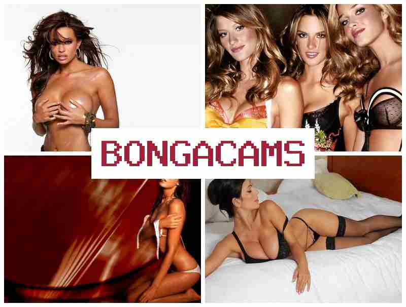 BNGACAMS 💚 Bitch Porn & Webcam Video Kid