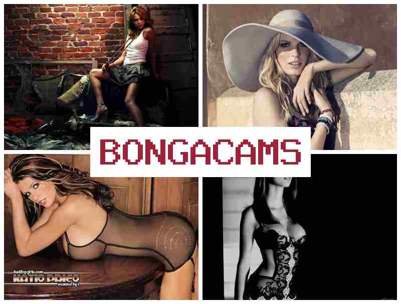 BINGA CAMS 💻 University Sluts Petersburg & Monster Porn