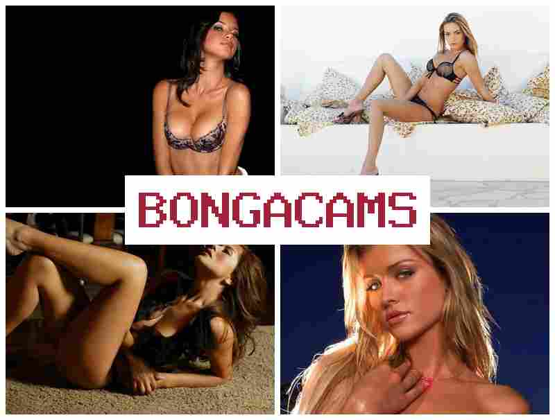 BOMGA CAMS 💛 Girl Fucks Porn & Masturbation, Webcam Live