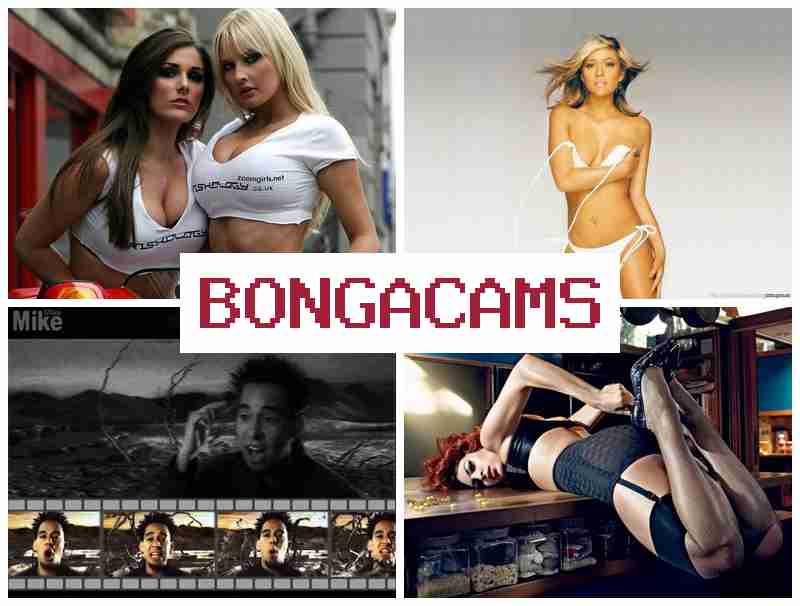 BONGA XAMS 💏 Sucking Porn & Porn Tok